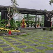 IMG Taman